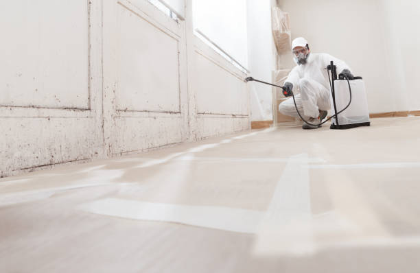 24/7 Emergency Attic Mold Removal experts in Stow, MA